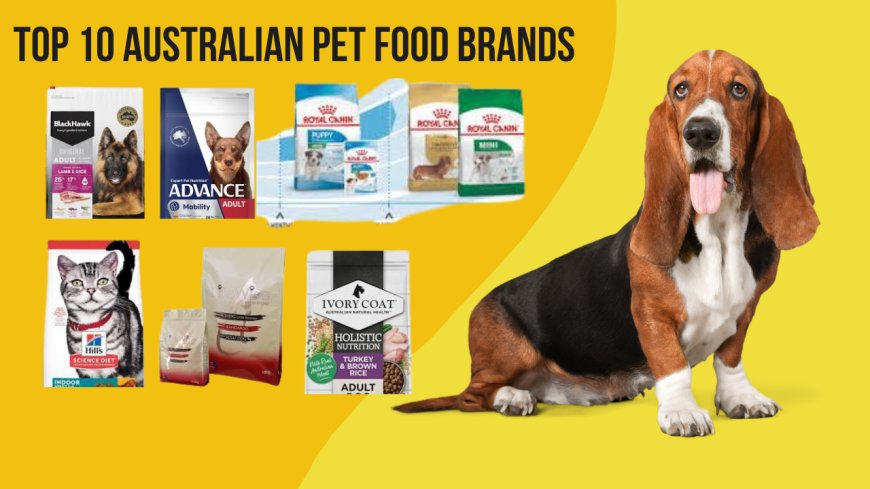 Top 10 Australian Pet Food Brands: Keeping Your Furry Friends Happy and Healthy