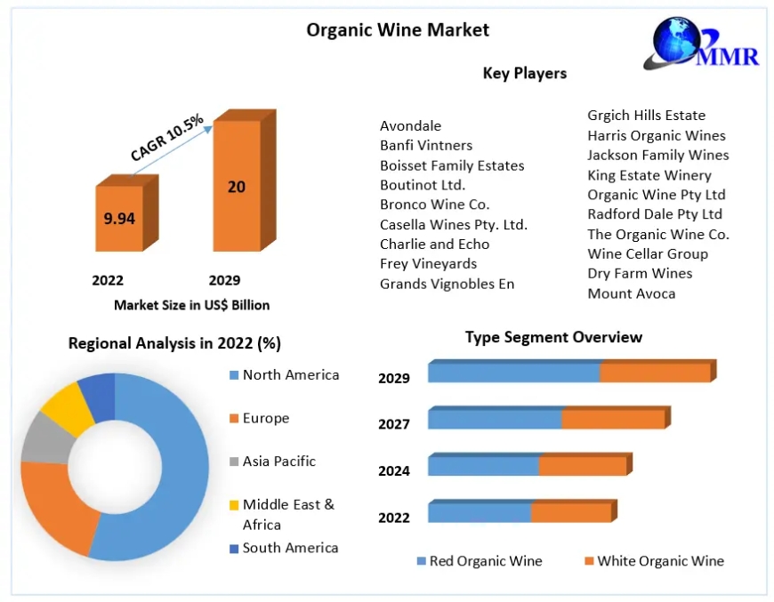 Organic Wine Market's Growth to Accelerate, Closing in on US$20 Billion by 2029