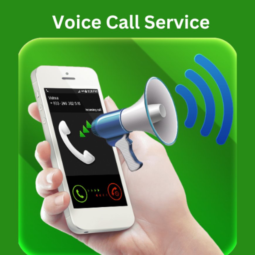 Enhancing Election Campaigns with Voice Call Services