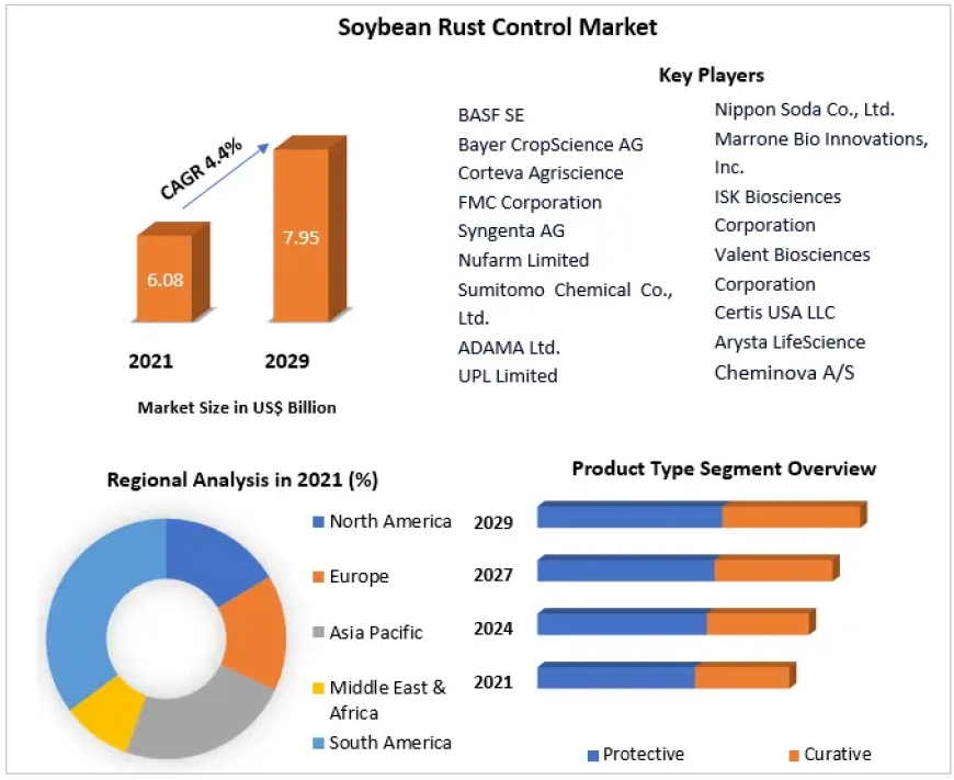 Soybean Rust Control Market Size, Share, and Forecast Analysis 2024-2030
