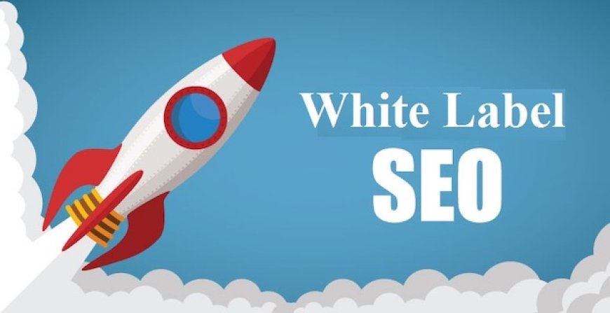 White Label SEO Services: Unlocking Opportunities for Digital Growth