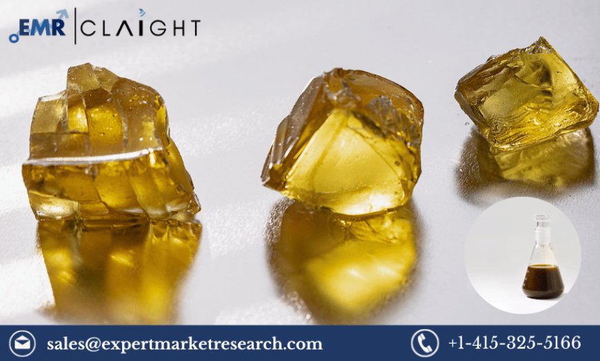 The Growing Demand for Tall Oil Rosin: Market Trends and Forecasts