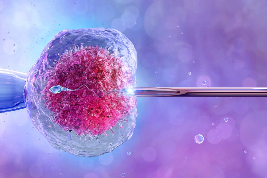 What is IVF?