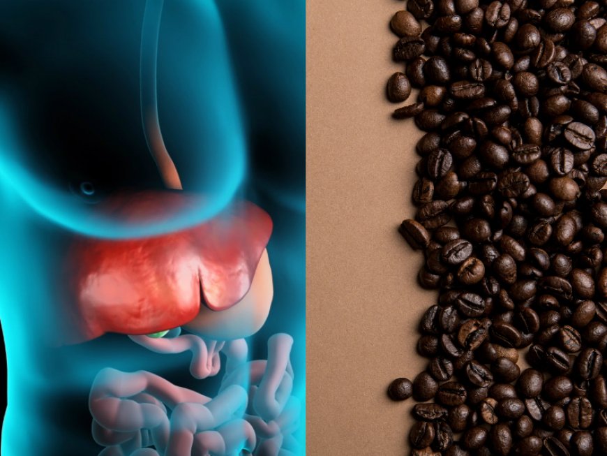 Coffee Can Enhance Your Liver Health