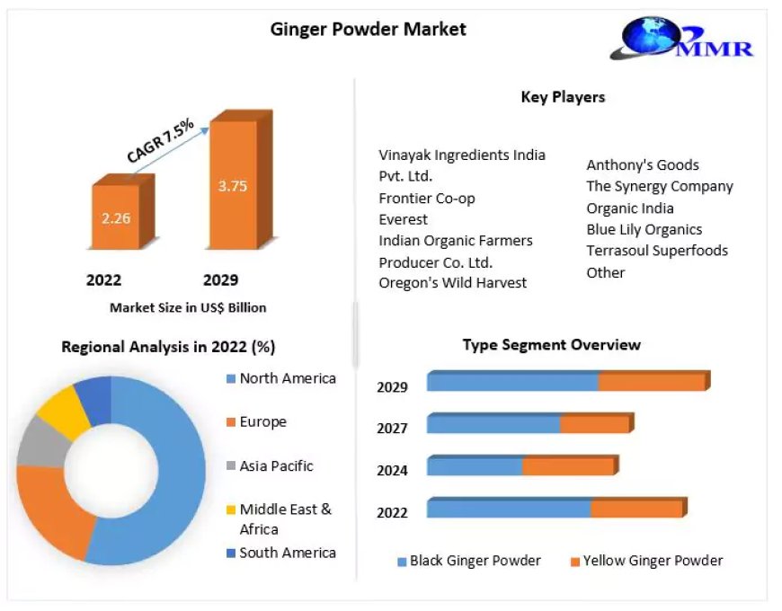 Ginger Powder Market Global Outlook and Forecast 2024-2030