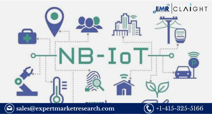 Narrowband-IoT Market Size, Growth, Analysis and Report 2024-2032