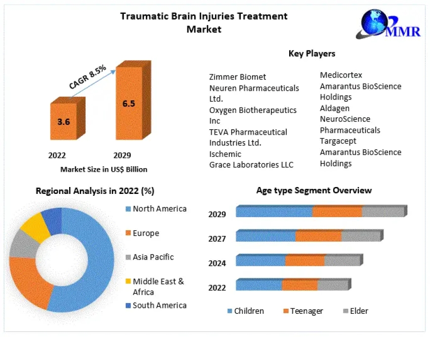 Healing Minds: Advancements in the Traumatic Brain Injuries Treatment Market 2030