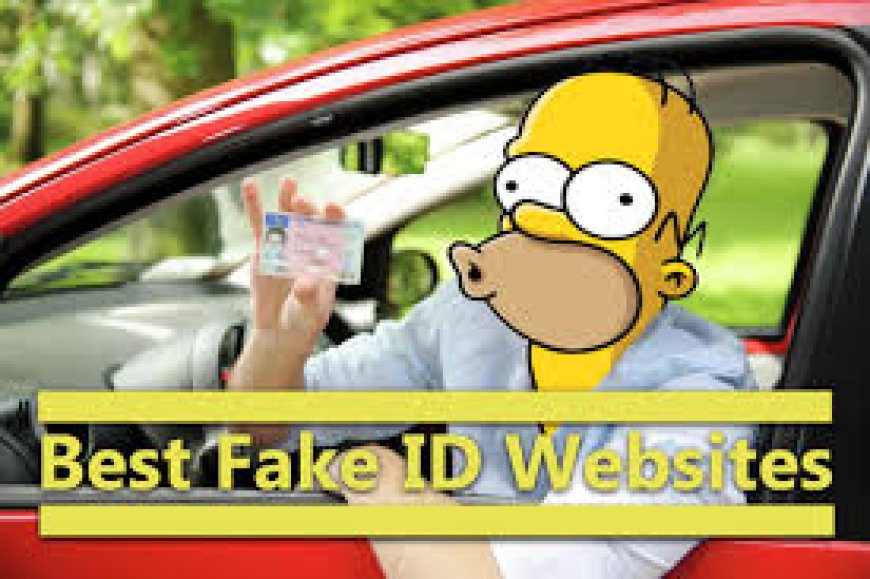 The Rise and Consequences of Fake IDs