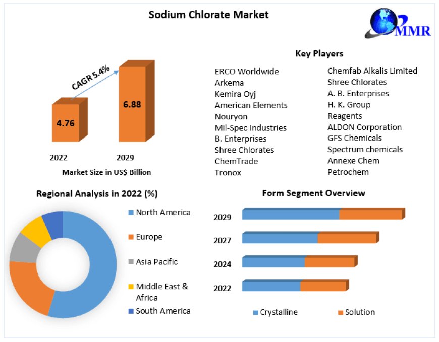 Sodium Chlorate Market 2029 Vision: Industry Outlook, Size, and Projected Growth