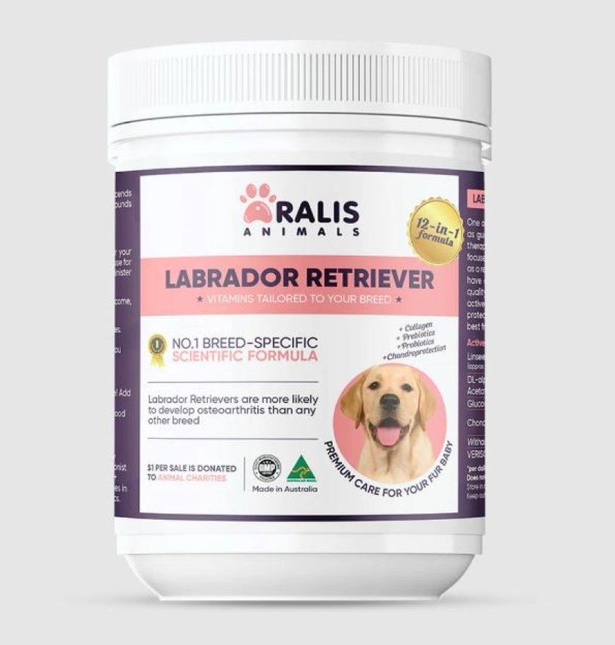 Buy Labrador Retriever Vitamin