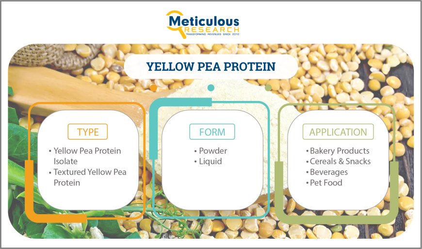 Yellow Pea Protein Market Worth $1.09 Billion by 2029