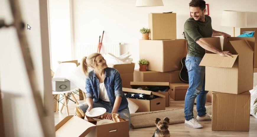 How Do I Select the Right Moving Company for the Apartment Relocate?