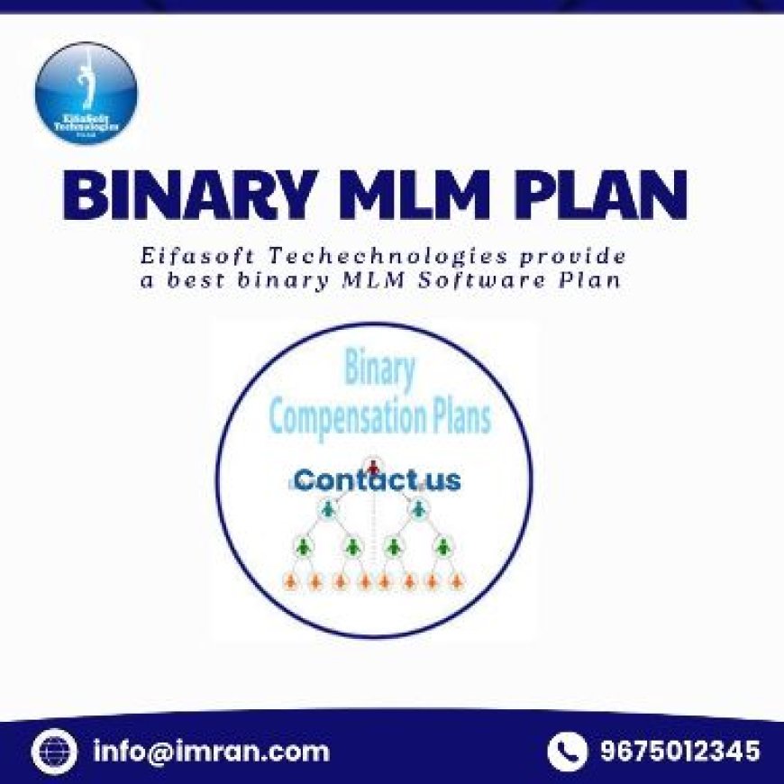 MLM  Binary Plan