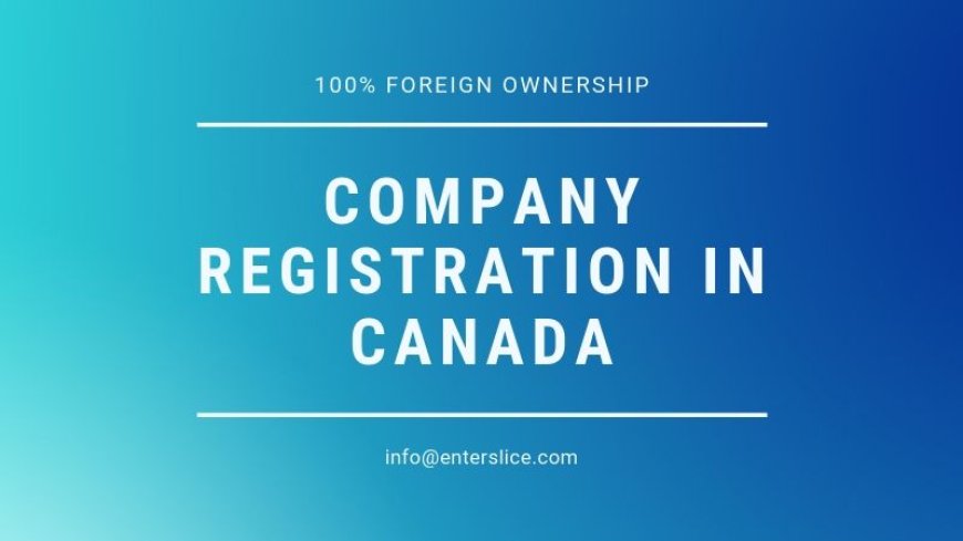 Types of Company Structures in Canada