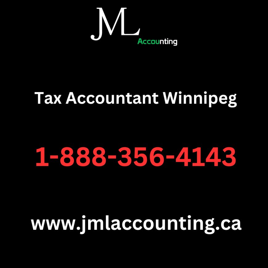 The Essential Guide to Finding the Best Tax Accountant in Winnipeg