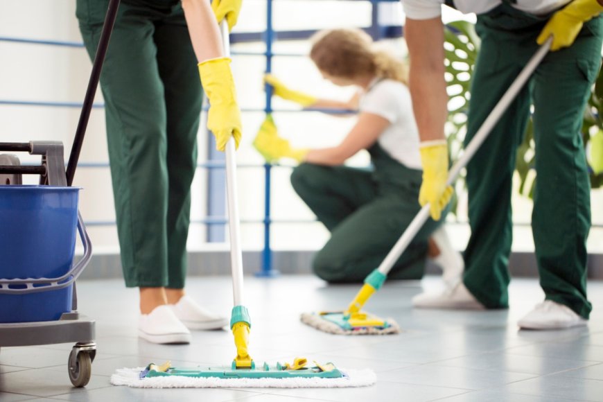 Preparing for Success: How Professional Move-Out Cleaning Can Enhance Your Transition