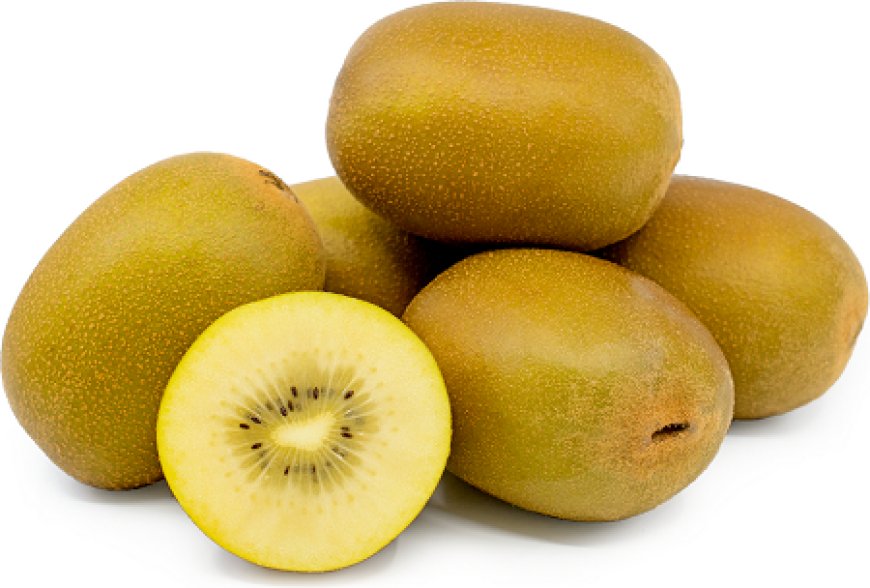 Gold Kiwifruit Market is projected to witness a CAGR of 9.8% from 2023 to 2033