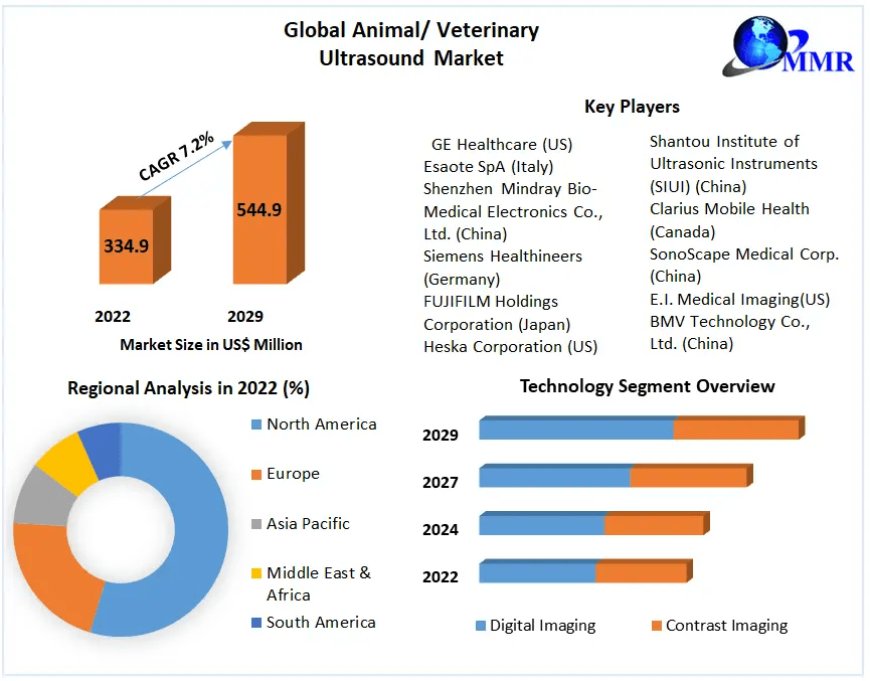 Animal/ Veterinary Ultrasound Market Share Insights | Global Demand & Trends analysis | Forecast | 2029