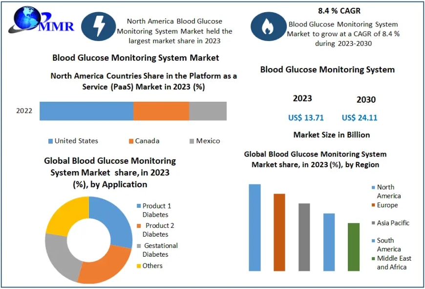 Blood Glucose Monitoring System Market Resilience Overdrive: Strategies for Thriving in the Next Wave of Business Evolution | 2024-2030