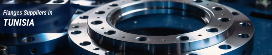 Flanges Suppliers in TUNISIA – Alkun Steel