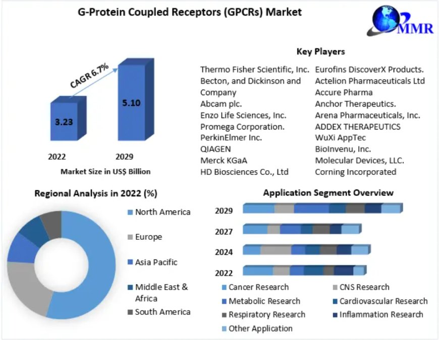 G-Protein Coupled Receptors Market Comprehensive Analysis and Growth Forecast