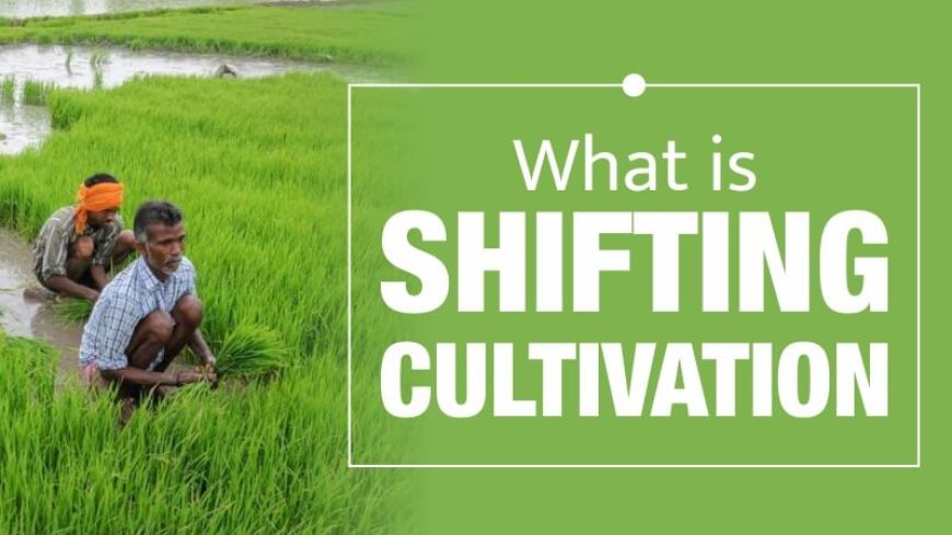 Sustainable Farming: Understanding the Shifting Cultivation Process in India