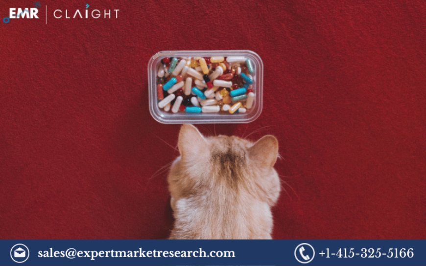 Pet Supplement Market Size, Share, Growth and Forecast 2024-2032