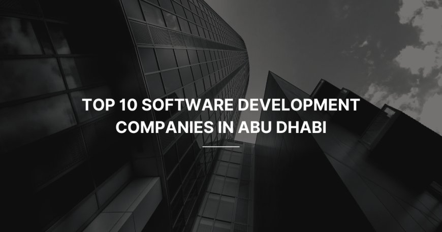Top 10 Software Development Companies in Abu Dhabi (2024)