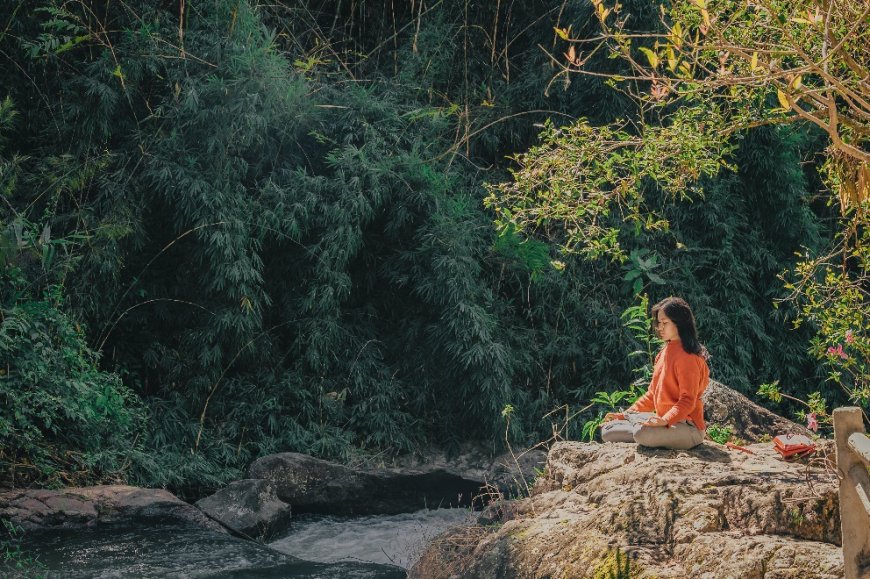 Harnessing the Healing Power of Nature: Ecotherapy for Mental Wellness