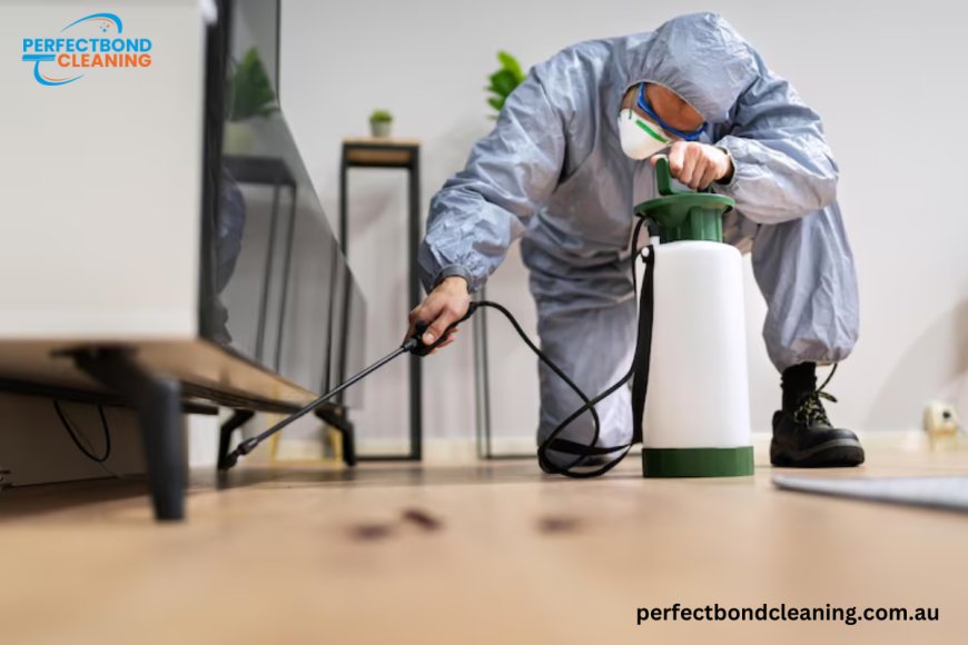 Excellent pest control in Brisbane | Perfect bond cleaning