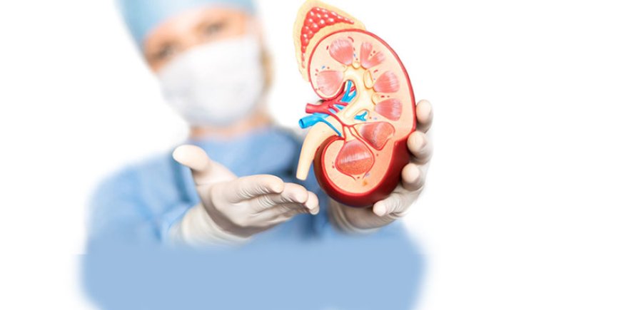 Accompany Dr. Niren Rao to Delhi Urology Hospital to Consult With a Kidney Doctor in Delhi