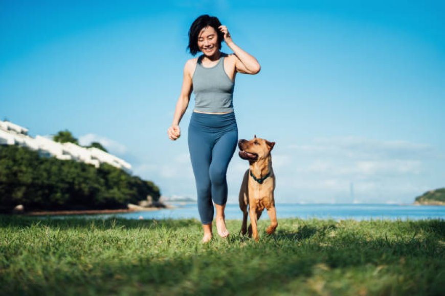 Stay Active with Your Pup: The Importance of Regular Dog Walking