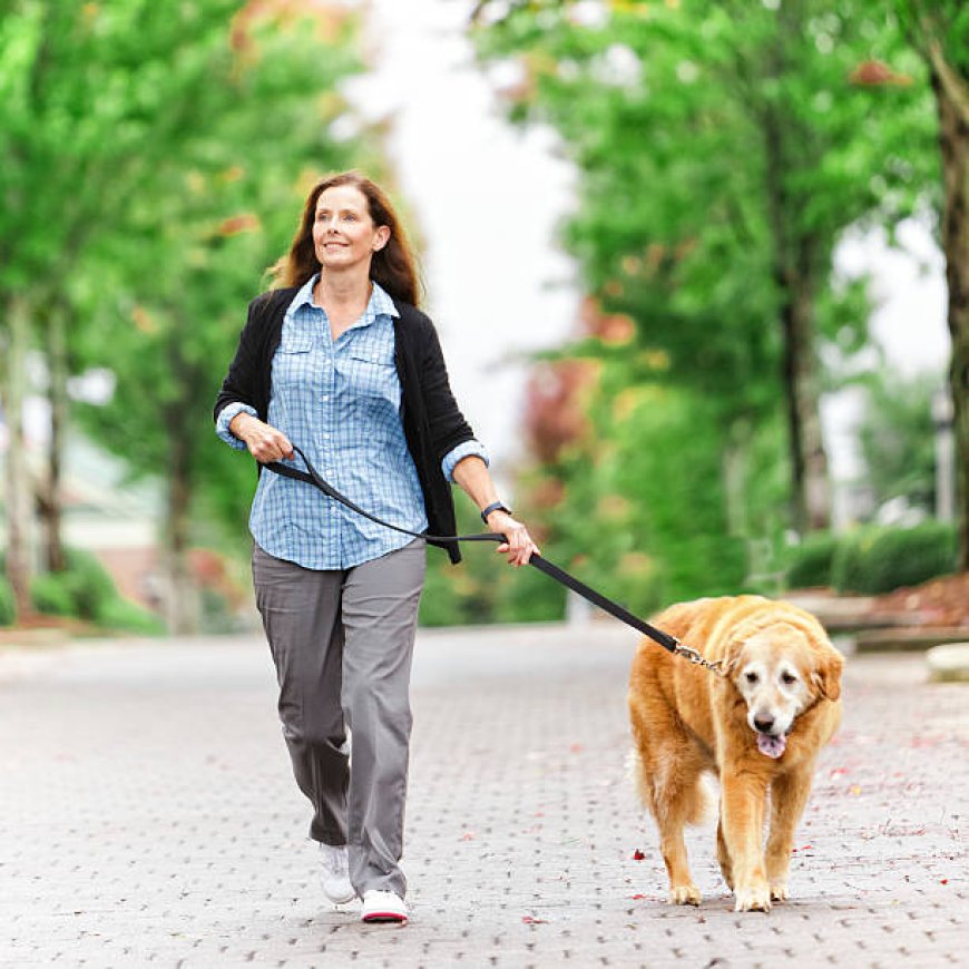 Stay Active with Your Pup: The Importance of Regular Dog Walking