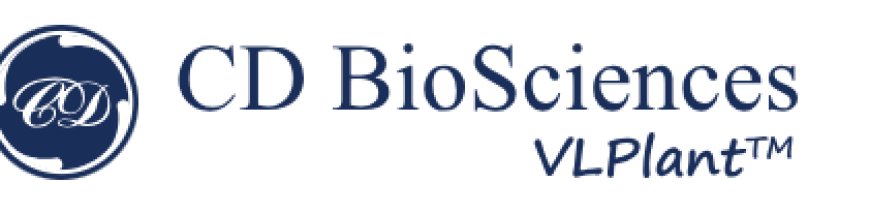 We offer HBV VLP vaccine development service and biological characterisation services, including biochemical methods and biophysical methods.