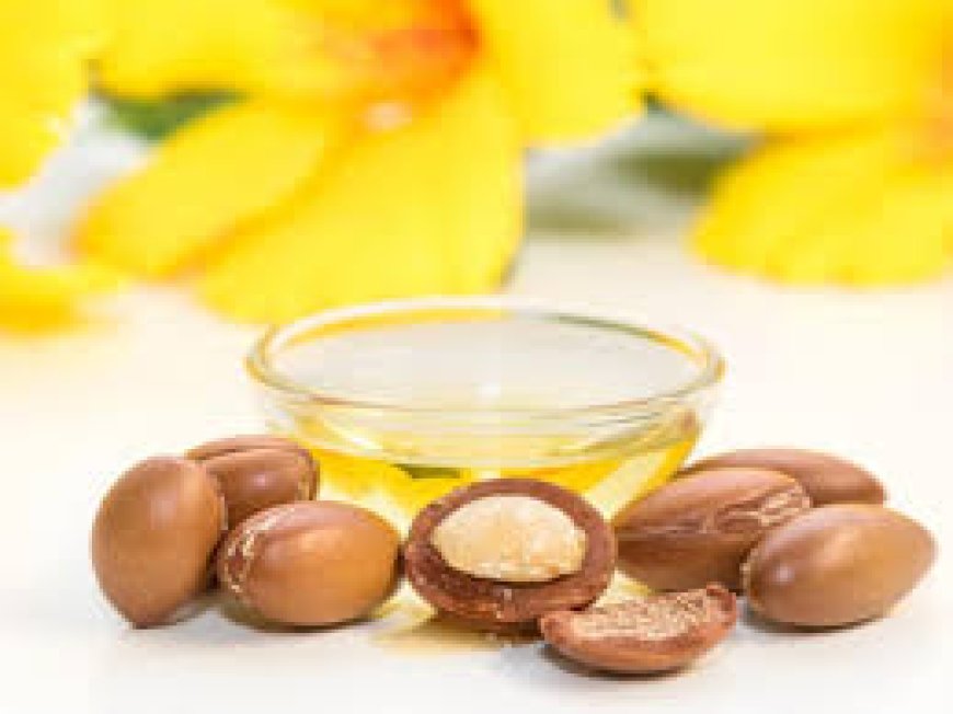 100% Pure Argan Oil Manufacturer in Korea