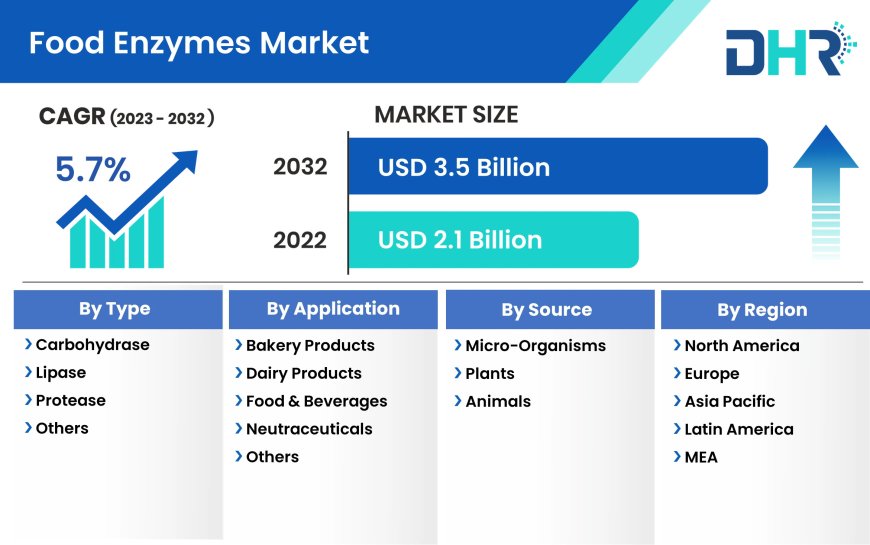 Food Enzymes Market Growing a Remarkable CAGR of 5.7% by 2032, Key Drivers, Size, & Share