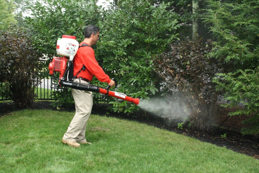 Professional Mosquito Control Services in Your Area