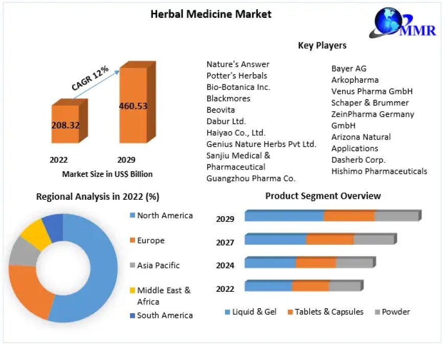 Herbal Medicine Market Analysis by Size, Growth, By Segmentation, By application forecast 2029