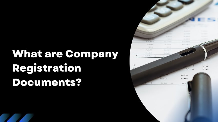 What are Company Registration Documents?