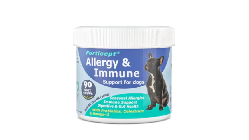 Allergy Relief for Dogs: How Immune Supplements Can Help