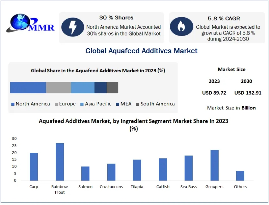 Aquafeed Additives Market Growth, Size, Revenue Analysis, Top Leaders and Forecast 2030