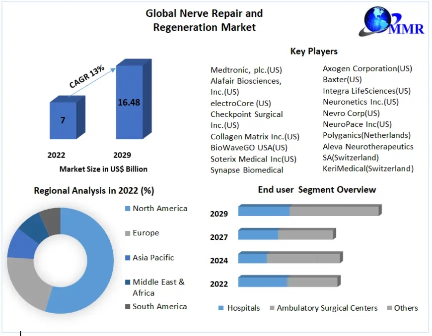 Nerve Repair and Regeneration Market Size, Opportunities, Company Profile, Developments and Outlook 2030