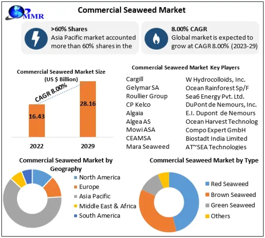 Commercial Seaweed Market Opportunities, Sales Revenue, Leading Players and Forecast 2030