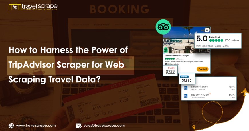How to Harness the Power of TripAdvisor Scraper for Web Scraping Travel Data?