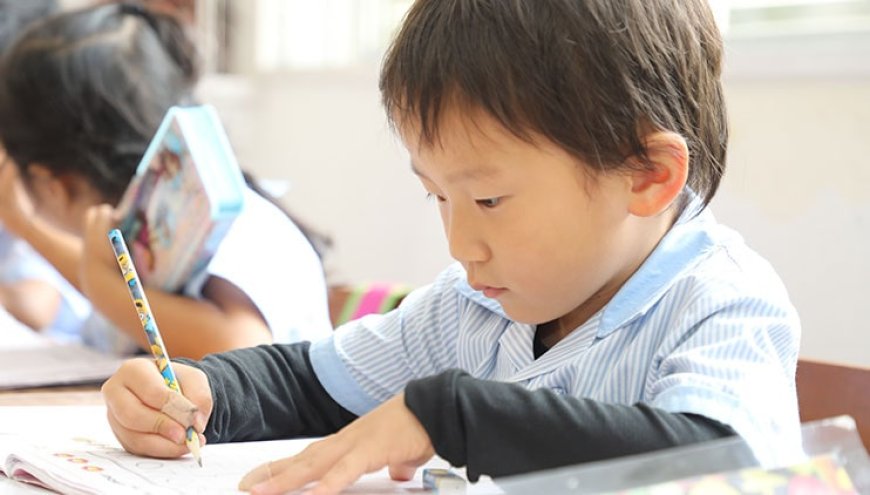 How Parents Can Support Numeracy Development in Primary Schoolers