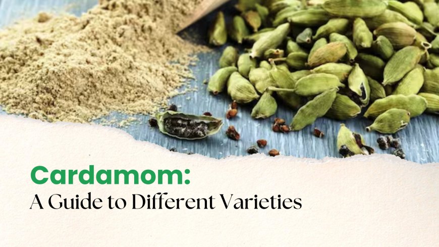 Flavors of Cardamom Powder: A Guide to Different Varieties