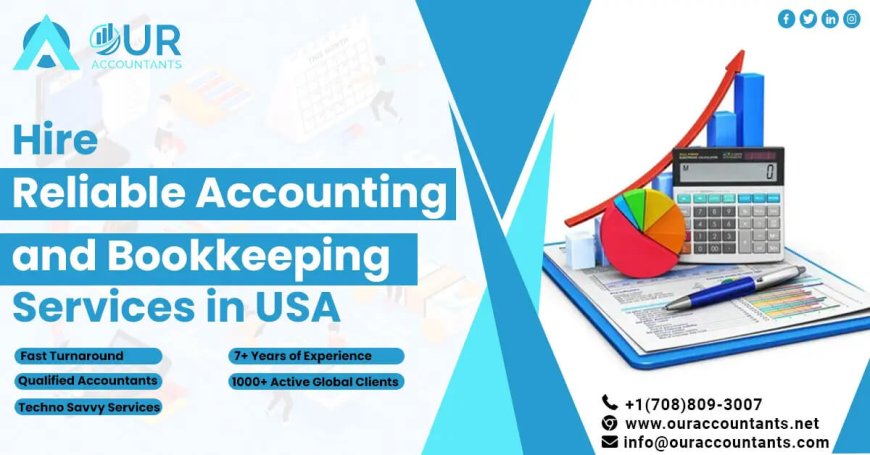 Deciphering the Maze: Selecting the Perfect Accounting Software for Your USA Business