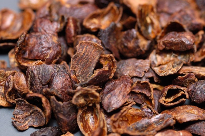 Cascara product consumption is anticipated to increase at a CAGR of around 10.4% through 2032