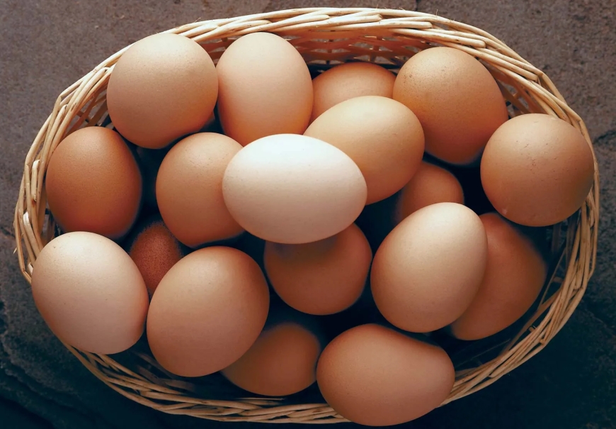 The Importance Of Today Egg Rate In Our Daily Lives