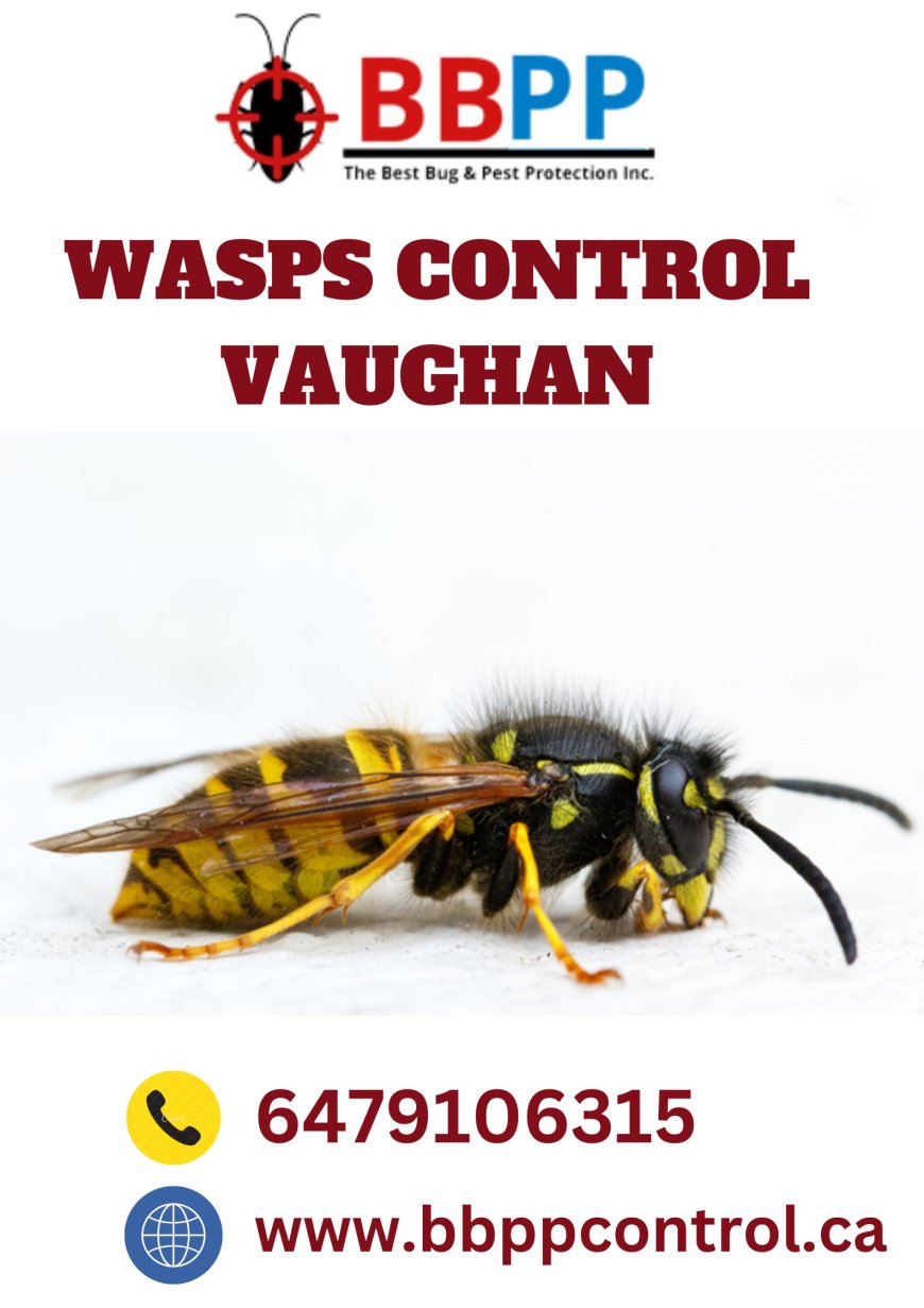 Identify Your Wasps Before Calling Professional Wasp Removal Service